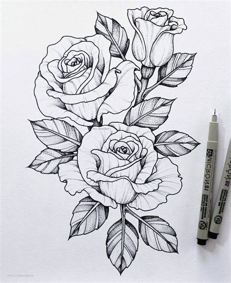 dessin fleur noir et blanc|Comment dessiner une fleur: 18 étapes (avec des photos).